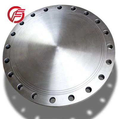 BL titanium flange (2)