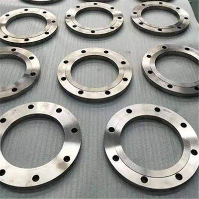 Gr2 PL titanium flange Gr2 PL titanium flange
