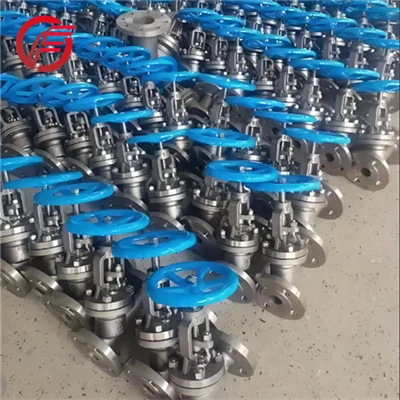 Gr2 Pure Titanium Globe Valve